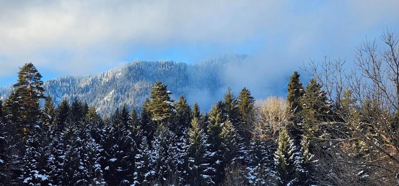 Mountain Resort Gantiadi Borjomi Eksteriør bilde